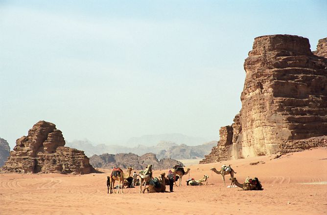 Бедуины (Иордания, Вади Рам)