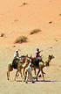 Верблюды (Иордания, Вади Рам)